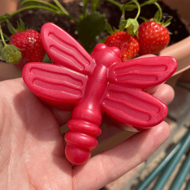 Soapimi Divine Dragonfly